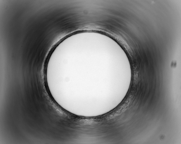 X0000103450990200810101124