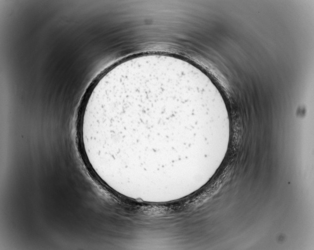 X0000103450991200810101124