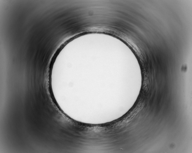 X0000103450992200810101124