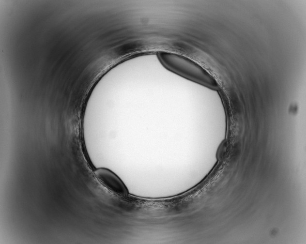 X0000103450993200810101124