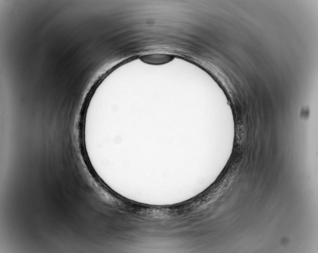 X0000103450995200810101124