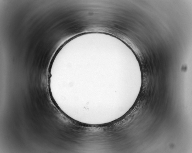 X0000103450996200810101124