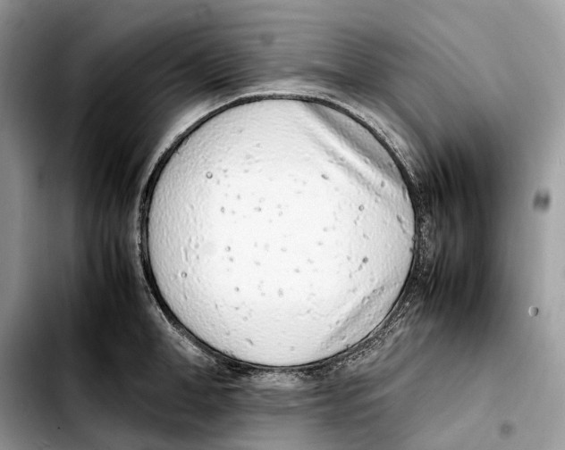 X0000103450998200810101123