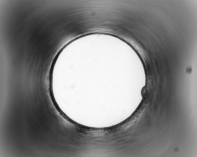 X0000103450999200810101123