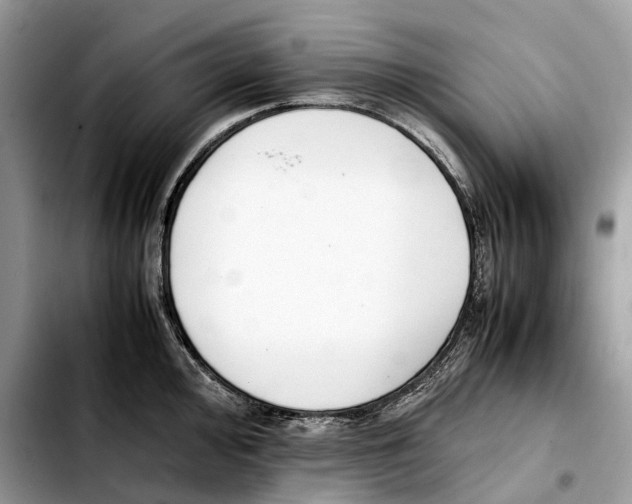 X0000103451000200810101123