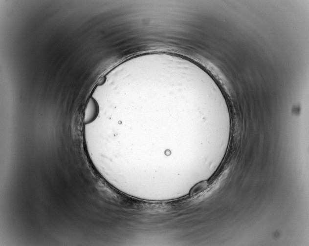 X0000103451001200810101123