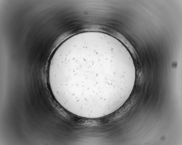 X0000103451002200810101123