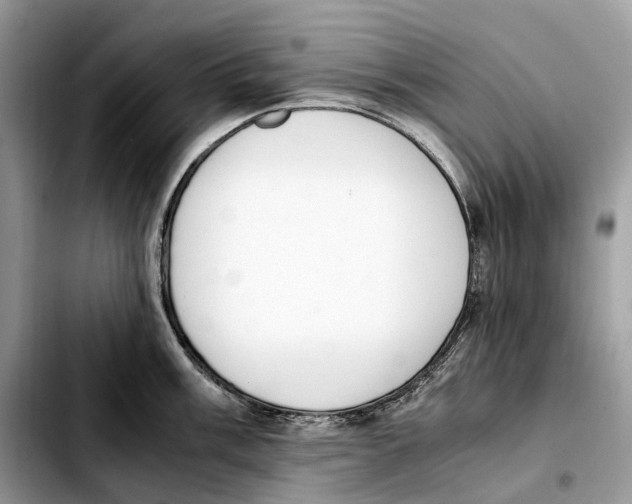 X0000103451003200810101123