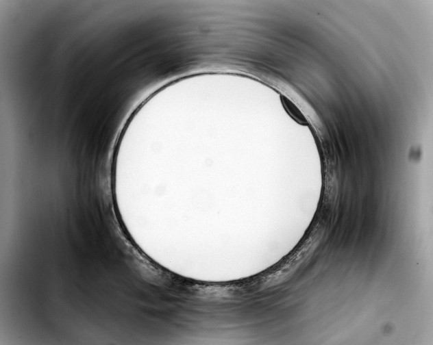 X0000103451004200810101123