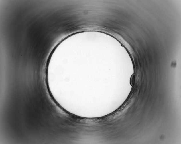 X0000103451005200810101123