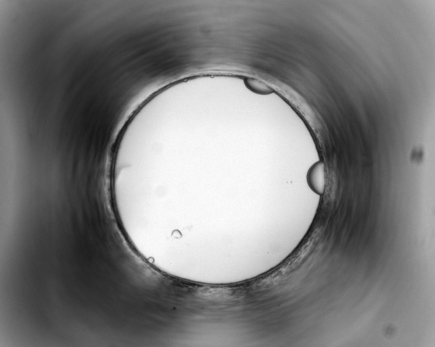 X0000103451006200810101123