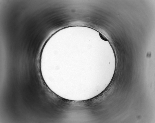 X0000103451008200810101123