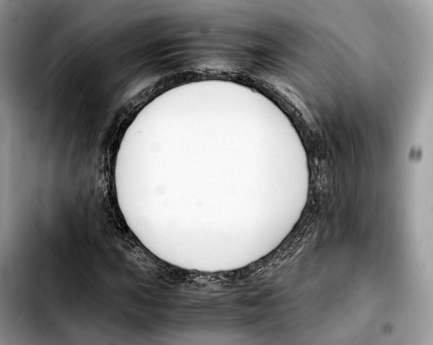 X0000103451015200810101123