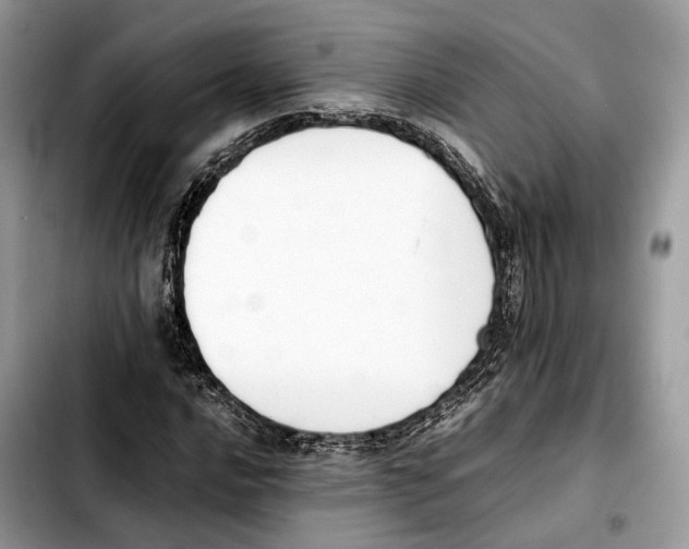 X0000103451016200810101123