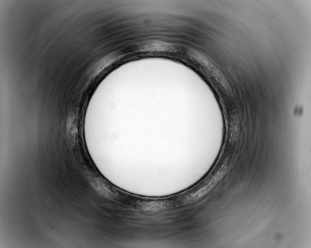 X0000103451017200810101123