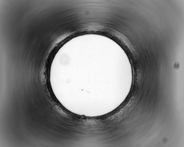 X0000103451018200810101123