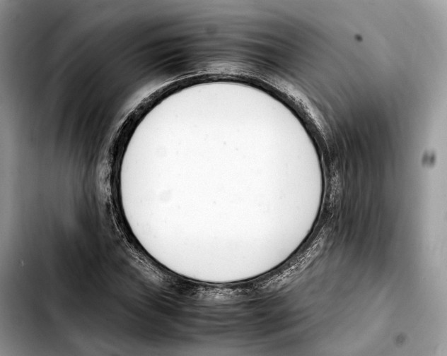 X0000103451019200810101123