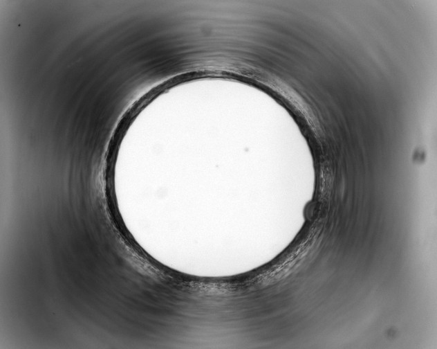 X0000103451020200810101123