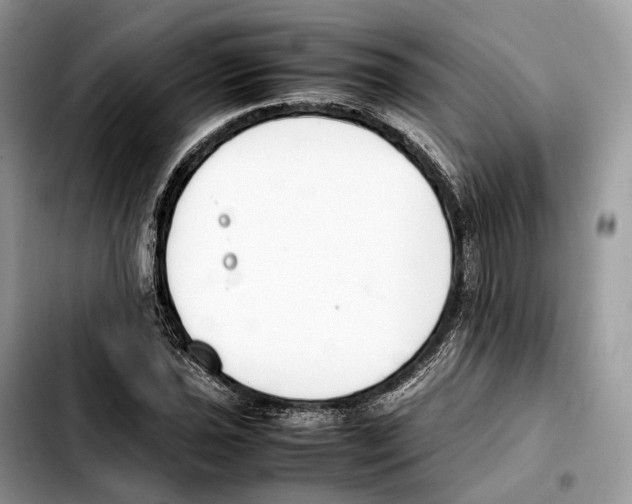 X0000103451021200810101123