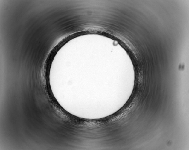 X0000103451022200810101123