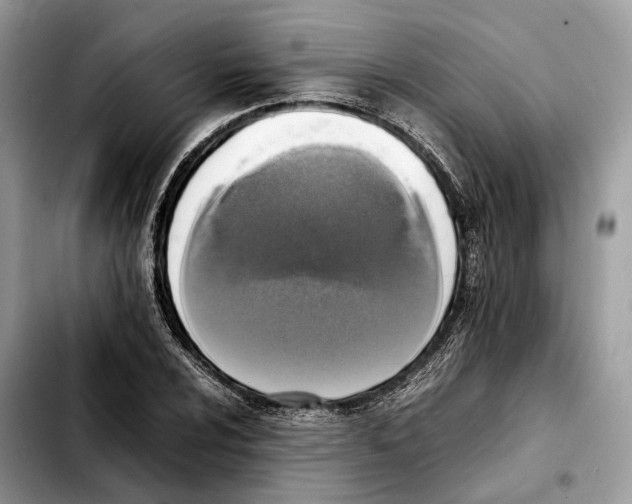 X0000103451024200810101123