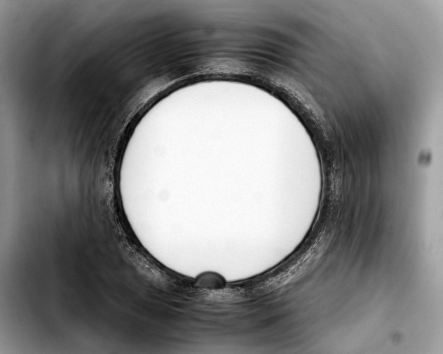 X0000103451025200810101123