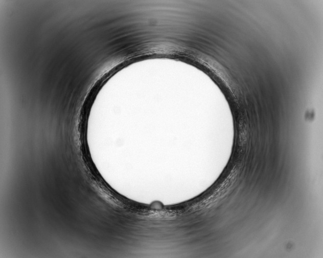 X0000103451026200810101123