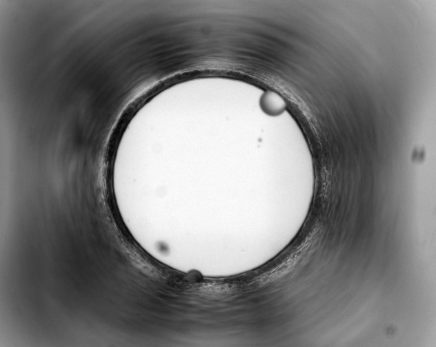 X0000103451029200810101123