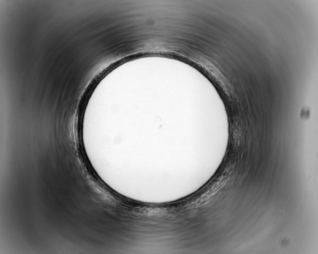 X0000103451030200810101123