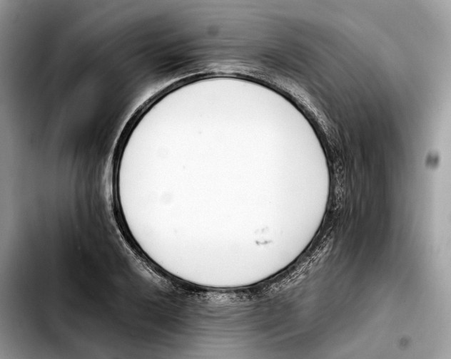 X0000103451032200810101123