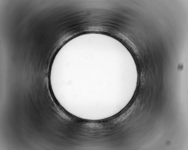 X0000103451033200810101123