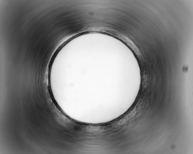 X0000103451036200810101123