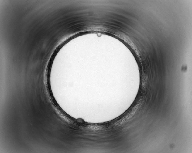 X0000103451037200810101123