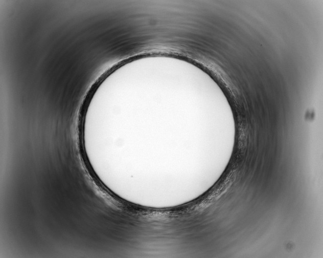 X0000103451038200810101123