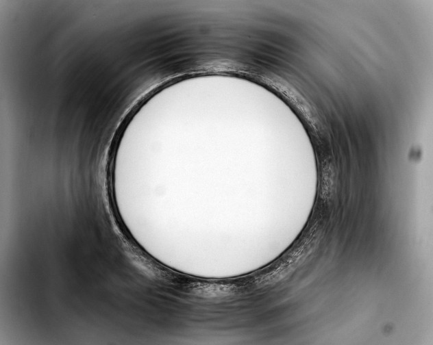 X0000103451039200810101123