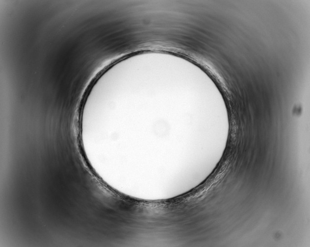 X0000103451040200810101123