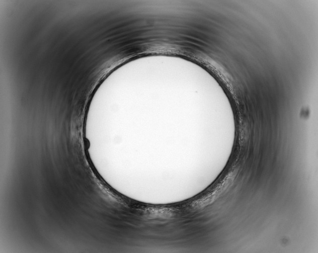 X0000103451041200810101123