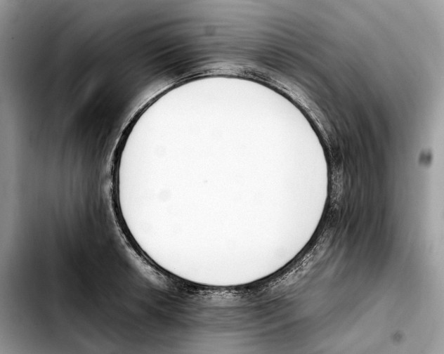 X0000103451042200810101123