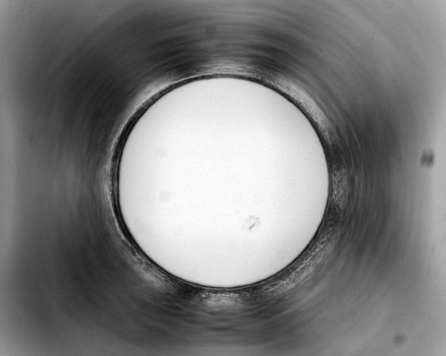 X0000103451043200810101123