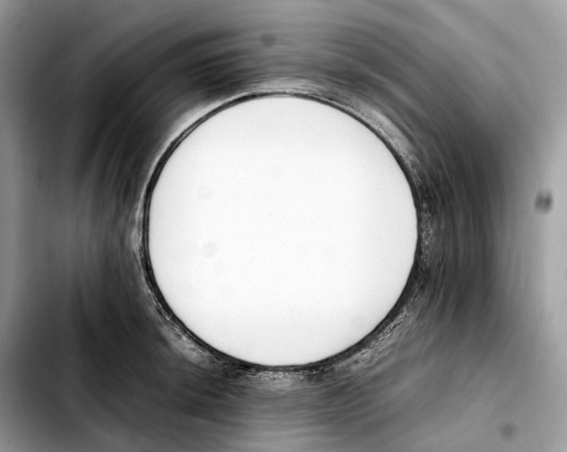 X0000103451044200810101123