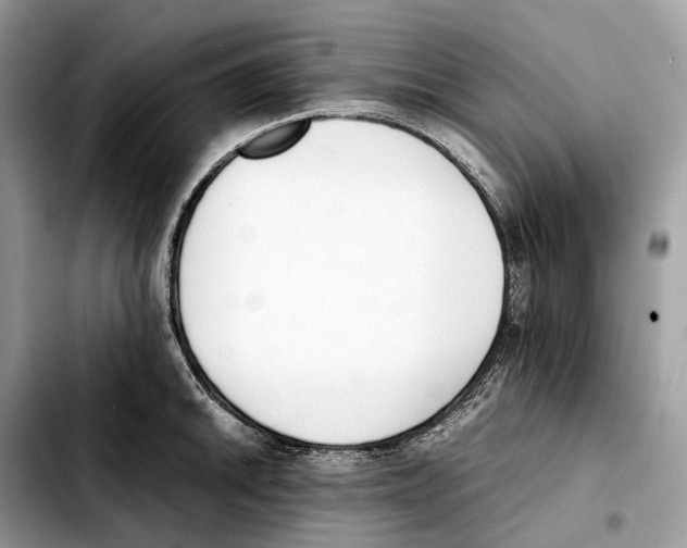 X0000103451046200810101123