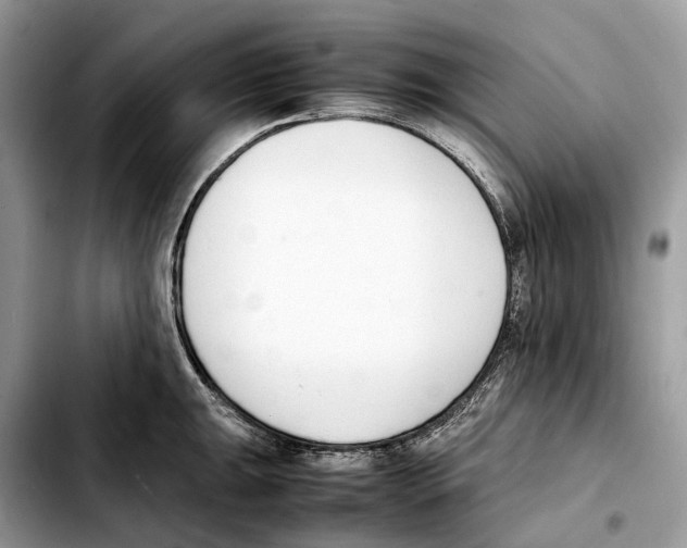 X0000103451047200810101123