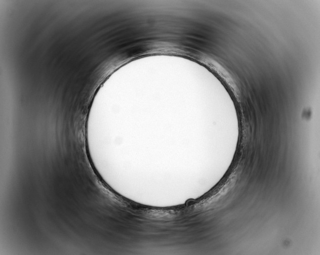 X0000103451049200810101123