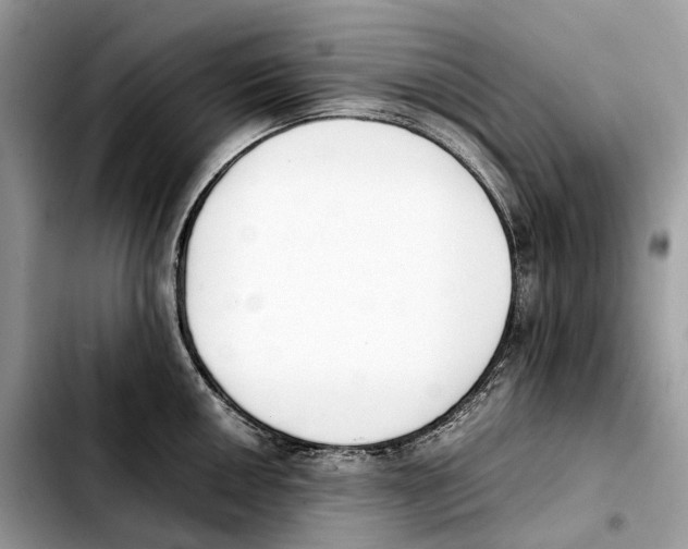 X0000103451050200810101123