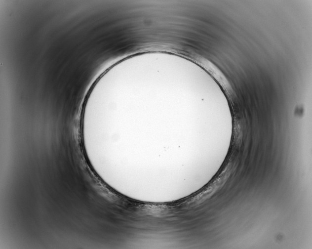 X0000103451052200810101123