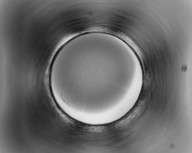 X0000103451053200810101123