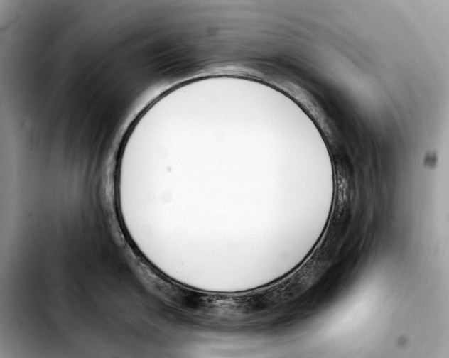 X0000103451054200810101123