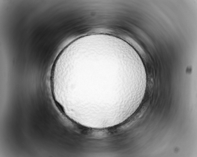 X0000103451055200810101123