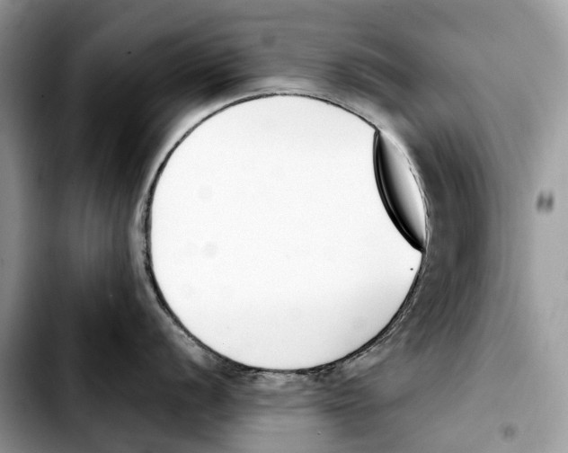 X0000103451056200810101123