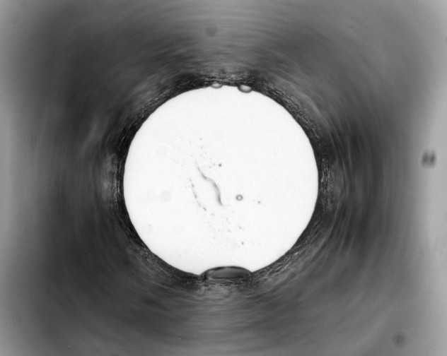 X0000103451058200810101123